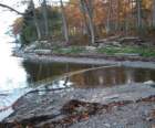 a_sshores_102112_a_net1_a_small.jpg