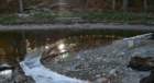 a_sshores_102112_a_net1_c_small.jpg