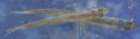 a_sshores_102112_catch_1f_small.jpg
