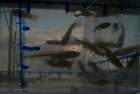 a_sshores_102112_catch_1n_small.jpg