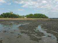 gacshore_072113_01b_sandbar_2_small.jpg