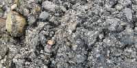 gacshore_072113_03_dig_10a_small.jpg
