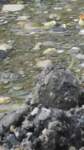 gacshore_072113_03_dig_11a_small.jpg