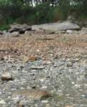 gacshore_072113_03_dig_11b_mud_bch_hill_small.jpg