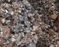 gacshore_072113_03_dig_12a_small.jpg