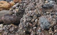 gacshore_072113_03_dig_13a_small.jpg