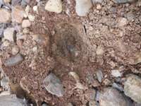 gacshore_072113_03_dig_14_small.jpg