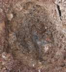 gacshore_072113_03_dig_14a_small.jpg