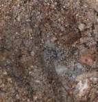 gacshore_072113_03_dig_14b_small.jpg