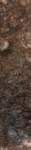 gacshore_072113_03_dig_15a_small.jpg