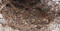gacshore_072113_03_dig_16b_small.jpg