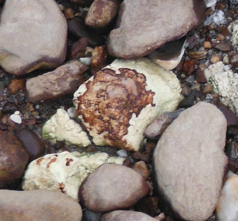 gacshore_072113_03_dig_18c.jpg
