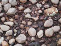 gacshore_072113_03_dig_19e_small.jpg