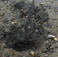 gacshore_072113_03_dig_1a_small.jpg
