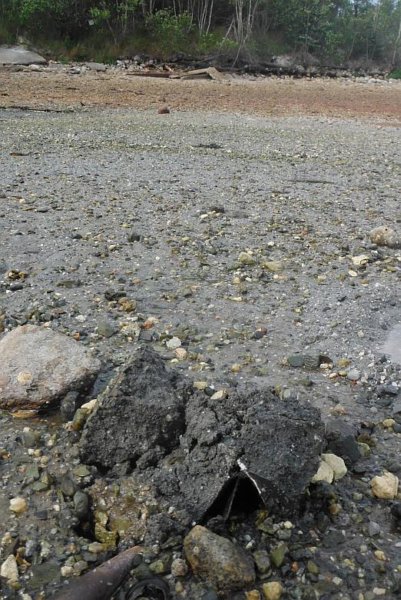 gacshore_072113_03_dig_4.jpg