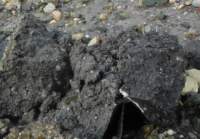 gacshore_072113_03_dig_4a_small.jpg