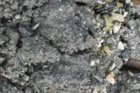 gacshore_072113_03_dig_5a_small.jpg