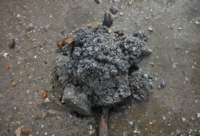gacshore_072113_03_dig_8_small.jpg