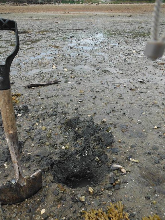gacshore_072113_03_dig_1.jpg