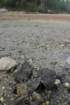 gacshore_072113_03_dig_4_small.jpg