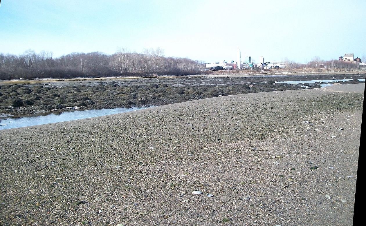 gacshore_031013_a00_cove1_sandbar.jpg