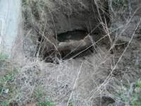gac_042212_018a_shedpipe_small.jpg