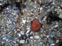 gac_042212_023_brick_sulfur_small.jpg