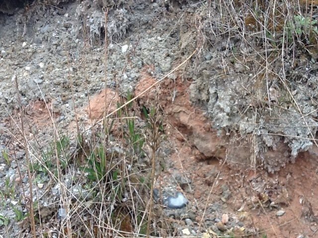 gac_042212_08_bluff_erosion_2.jpg