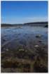 gacshore_050612_k_testcove_mudflat_small.jpg