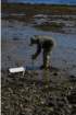 gacshore_050612_l_testbore_a_small.jpg