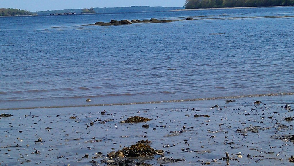 imag0024.jpg
