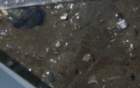 gac_flat_051312_c4_core4_04_sed_surface_small.jpg