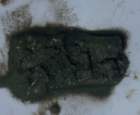 gac_flat_051312_c6_core5_small.jpg