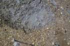 gac_flat_051312_core16_scrape2_small.jpg