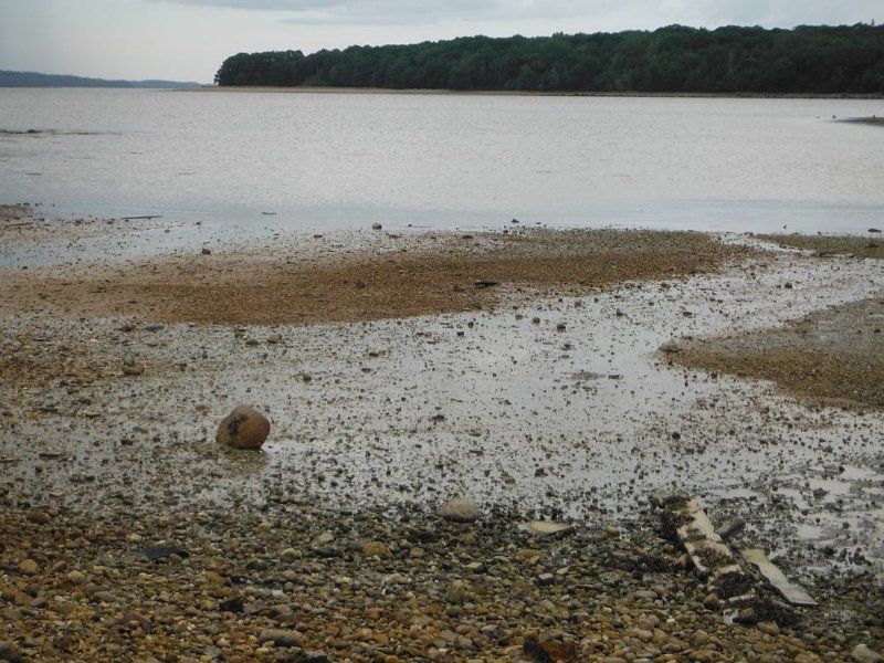 gacshore_080413_11_taintmud1site.jpg