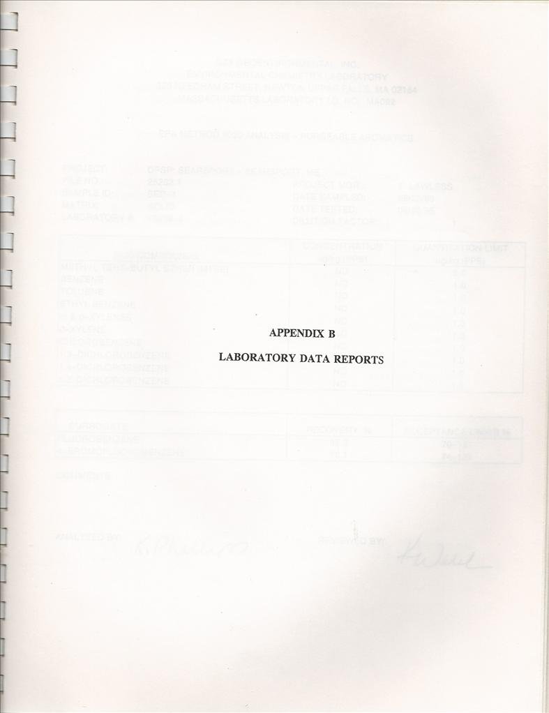 dfsp_appendix_b_cover.jpg